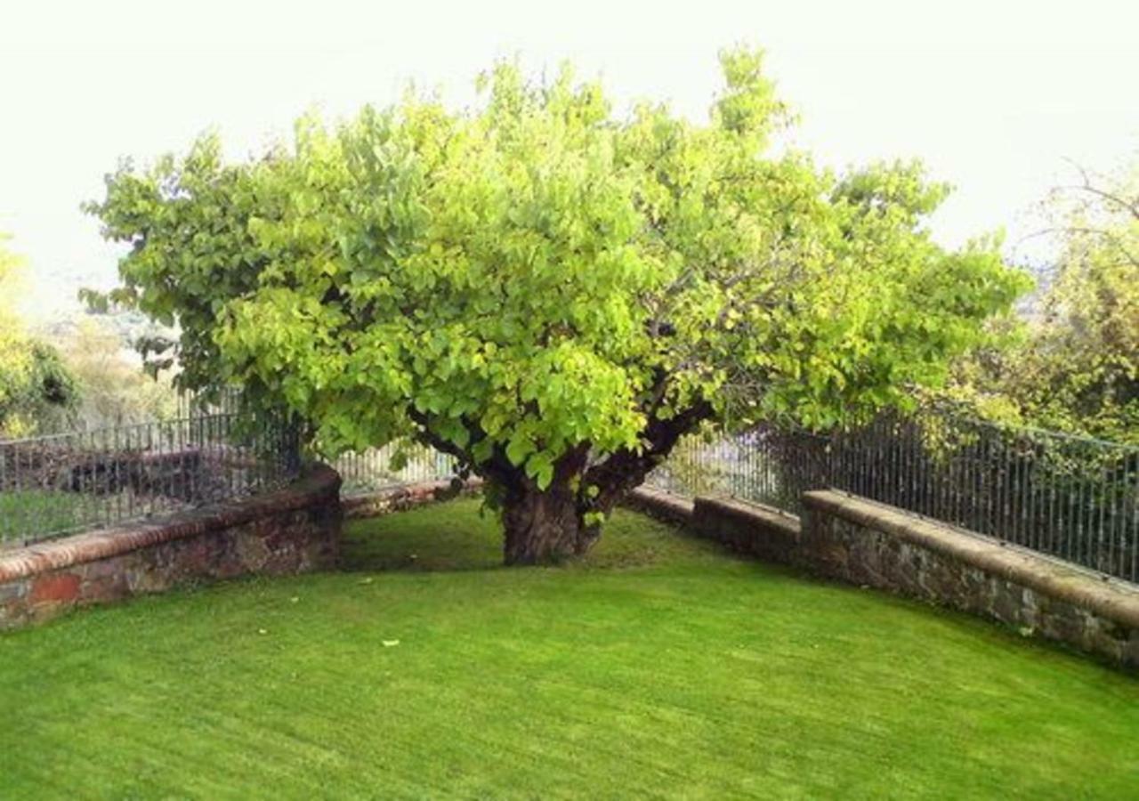 El Patio De La Morera El Rasillo 외부 사진